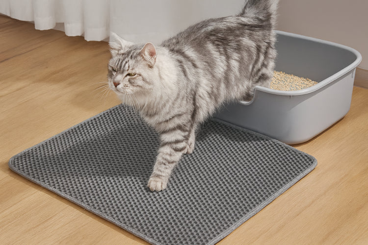 Tapis litière chat sol
