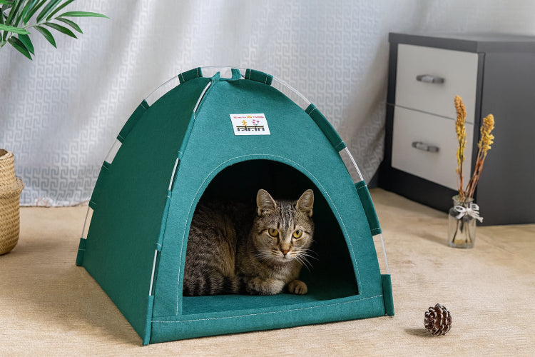Tente couchage pour chat vert chat