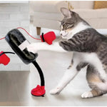 Jouet de Boxing interactif pour chat - Vignette | ChatMour