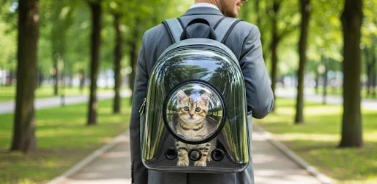 Transport pour chat - ChatMour