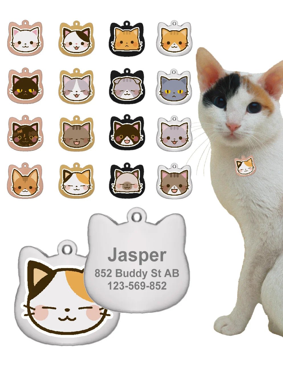 Accessoire chat collier - ChatMour