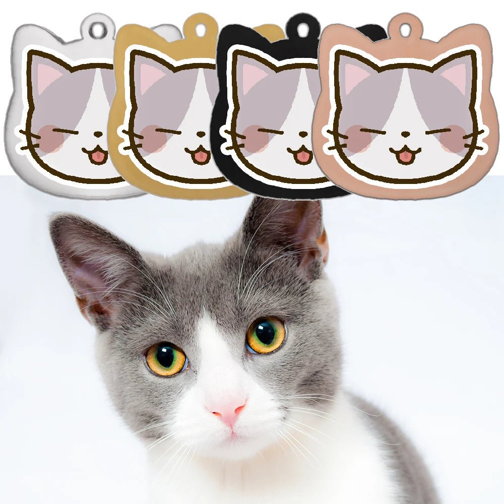 Accessoire chat collier - ChatMour