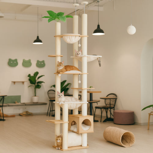 Arbre à Chat 2m plafond 