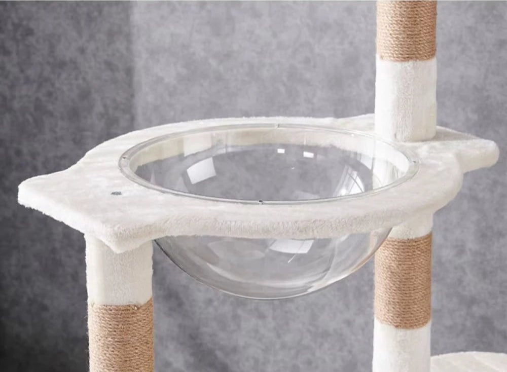 Arbre à chat blanc - ChatMour