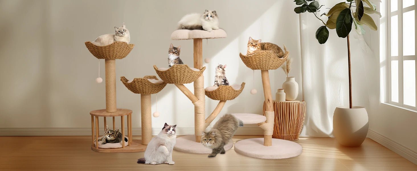 Arbre à chat pour gros chats - ChatMour