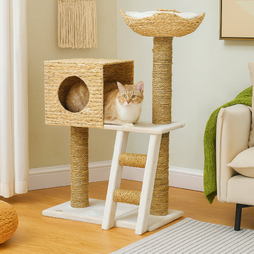 Arbre à chat confortable  salon beige