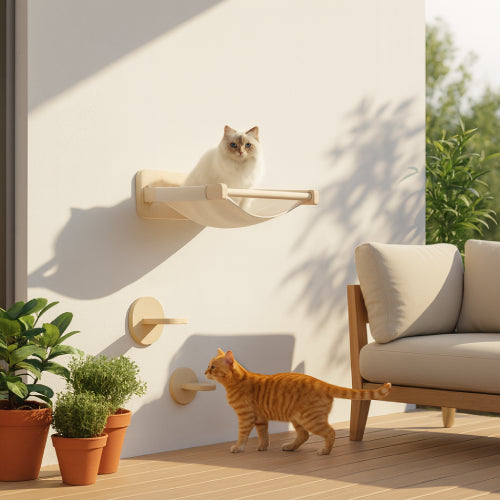 Arbre à chat extérieur  lit 