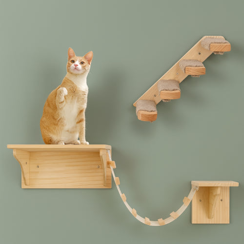 Arbre à chat mural mur 