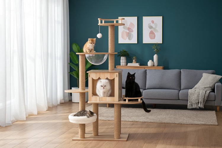 Arbre à chat pas cher  coussin 