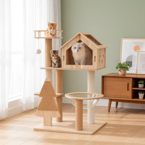 Arbre à chat pas cher  plante 