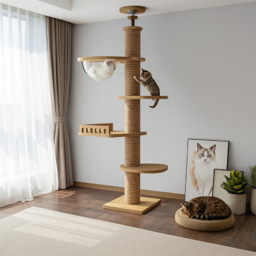 Arbre à chat plafond  sol 