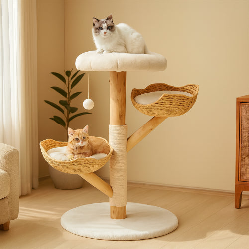 Arbre à chat pour gros chats  coin 