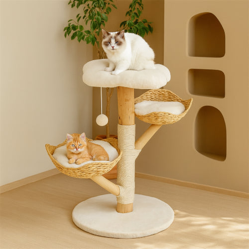 Arbre à chat pour gros chats coussin 