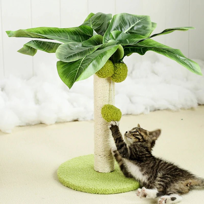 Arbre griffoir pour chat - ChatMour