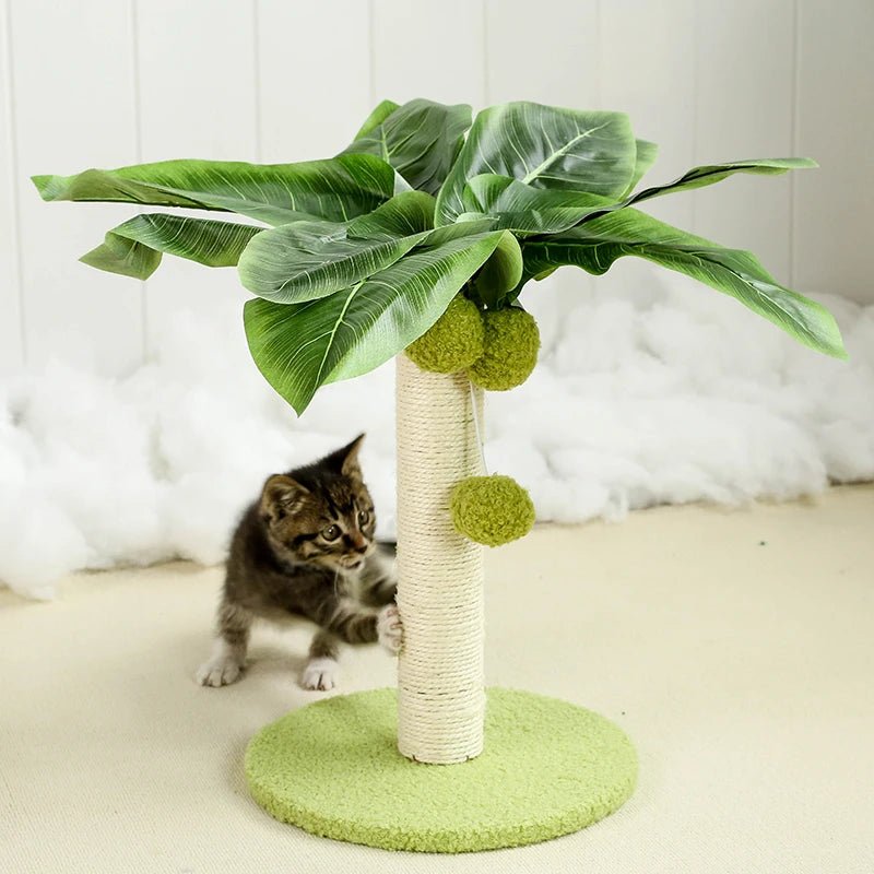 Arbre griffoir pour chat - ChatMour