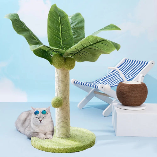 Arbre griffoir pour chat fond bleu