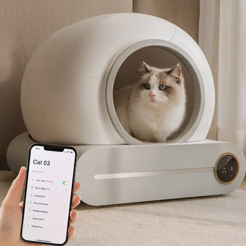 Bac à litière intelligent pour chat connexion 