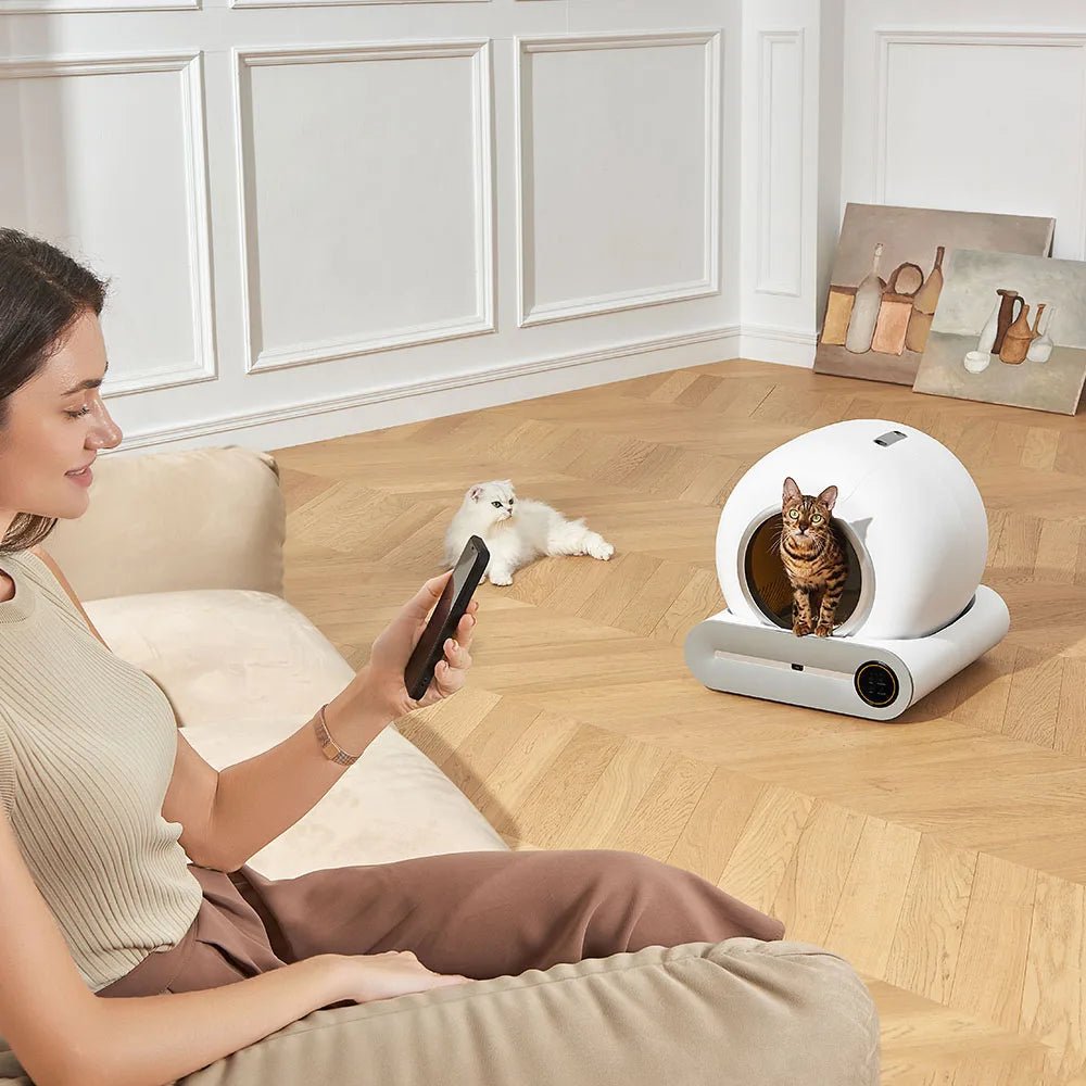 Bac à litière intelligent pour chat - ChatMour
