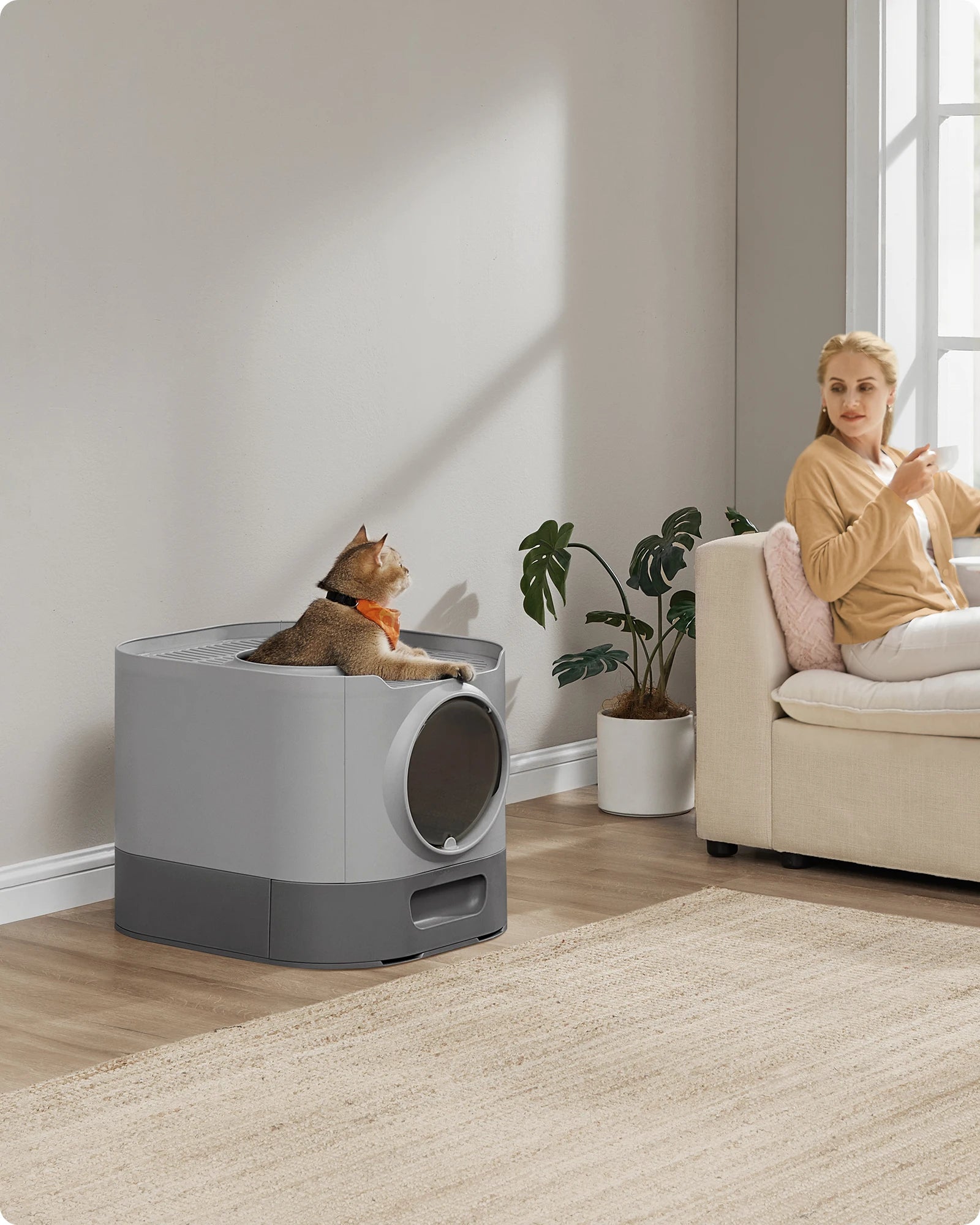 Bac à litière pour chat XXL - ChatMour