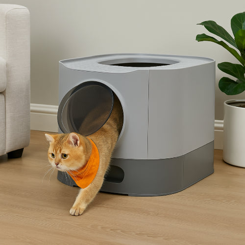 Bac à litière pour chat XXL salon