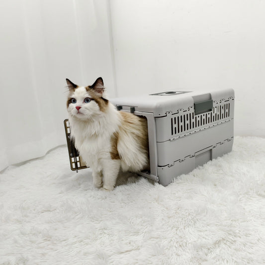 Boite de transport chat - ChatMour