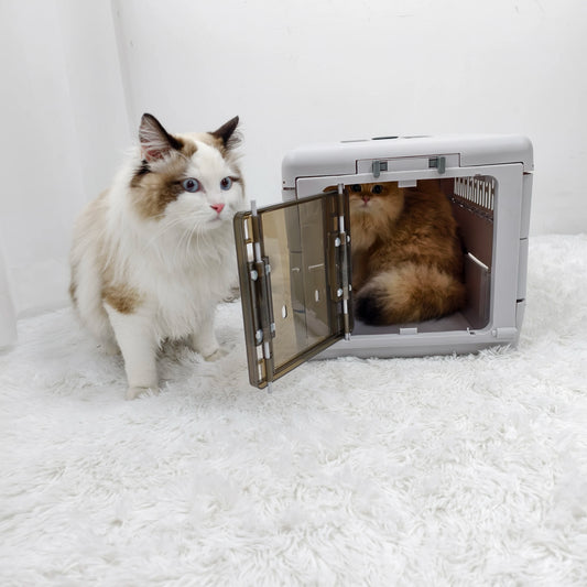 Boite de transport chat - ChatMour