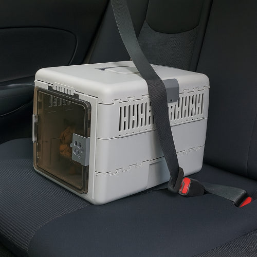 Boite de transport chat ceinture