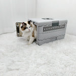 Boite de transport chat - Vignette | ChatMour