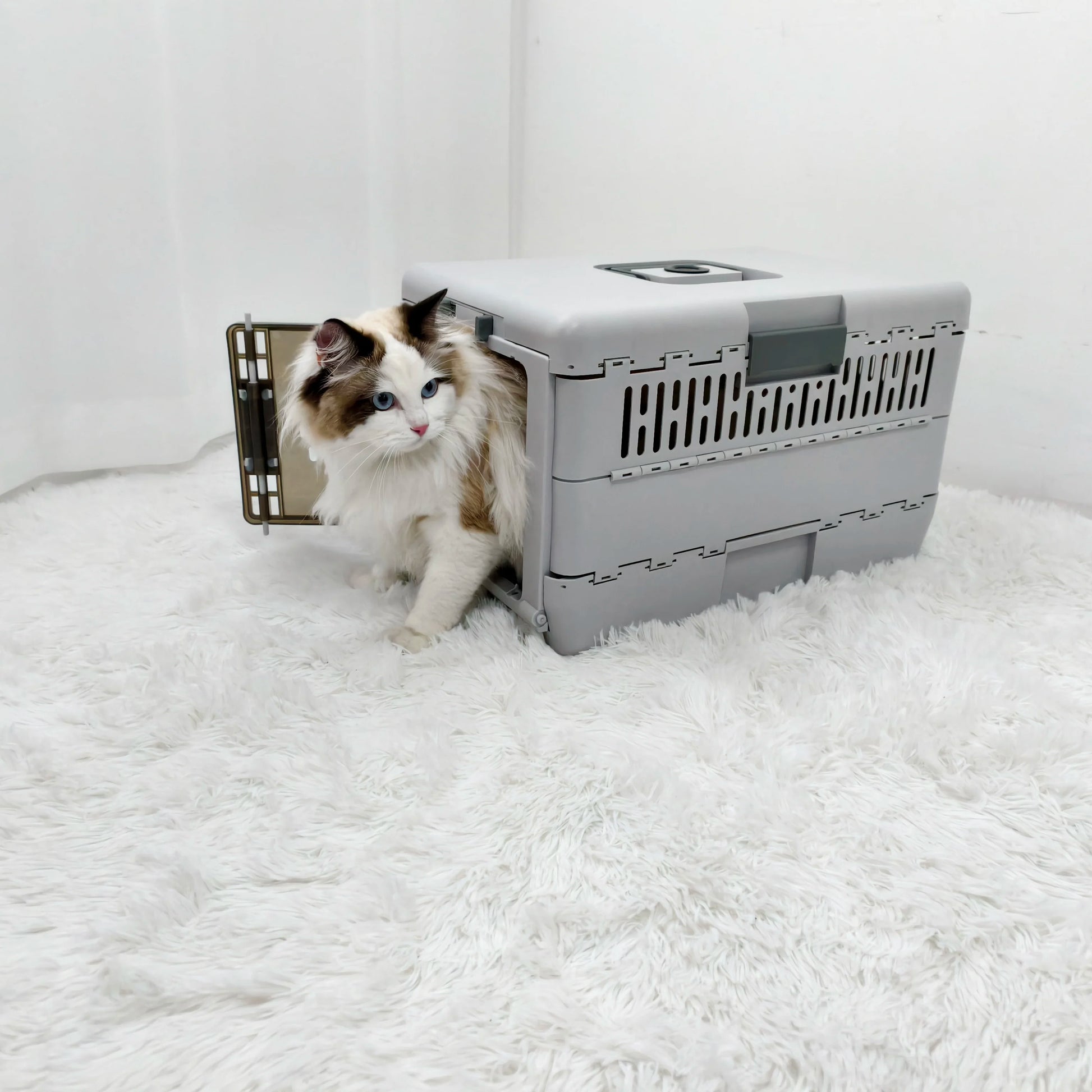 Boite de transport chat - ChatMour