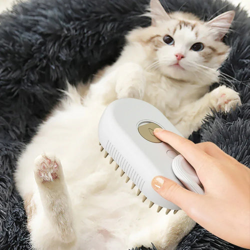 Brosse à vapeur chat mains