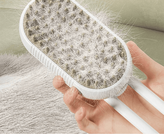 Brosse à vapeur chat - ChatMour