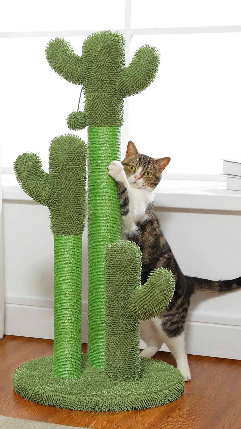 Cactus griffoir pour chat - ChatMour
