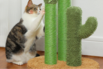 Cactus griffoir pour chat - Vignette | ChatMour