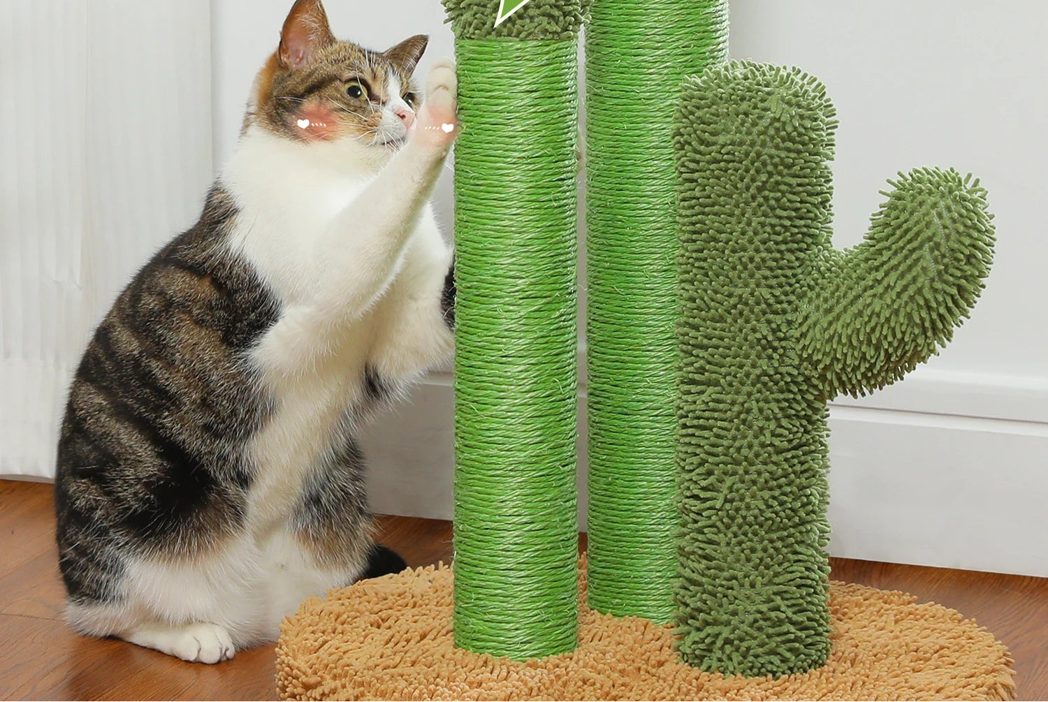 Cactus griffoir pour chat poteaux