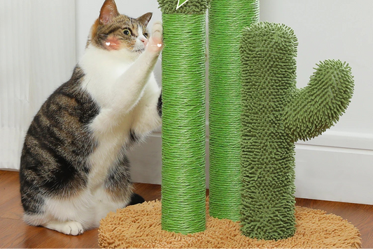 Cactus griffoir pour chat poteaux