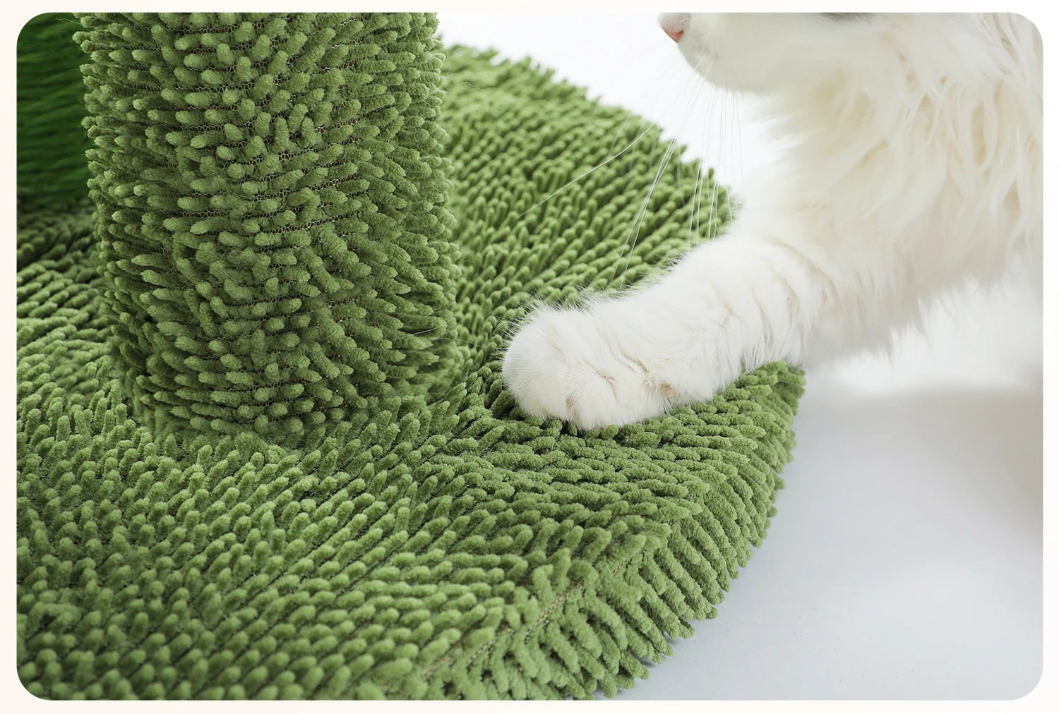 Cactus griffoir pour chat sisal