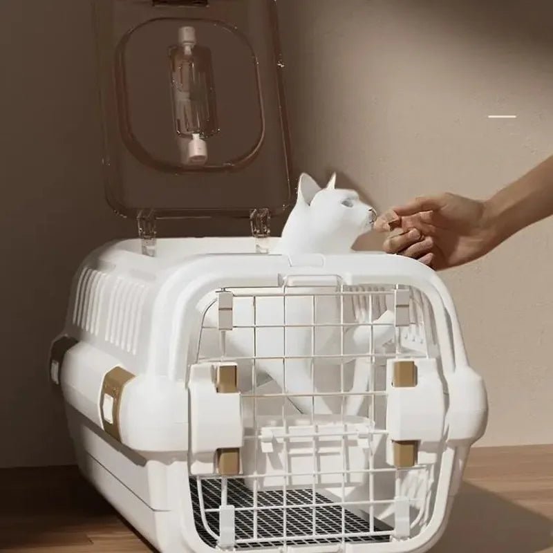 Cage de transport avion pour chat - ChatMour