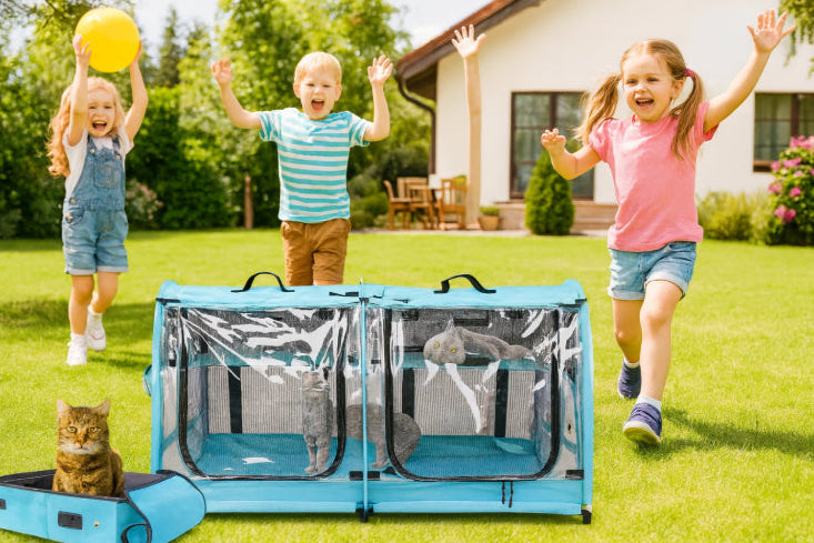 Cage de transport pliable enfants