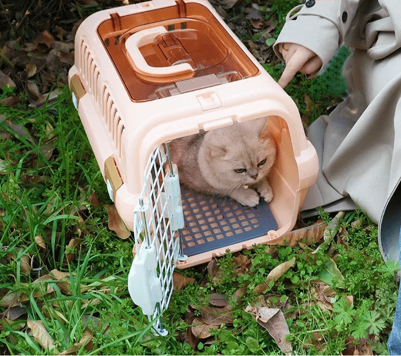 Cage de transport été - ChatMour