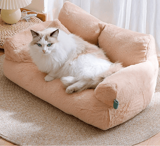 Chaise lit à gratter pour chat - ChatMour