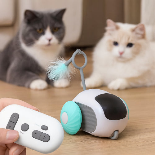 Chat jouet robot main 