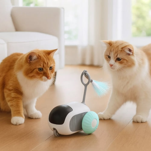 Chat jouet robot sol 