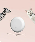 Collier GPS pour chat - Vignette | ChatMour