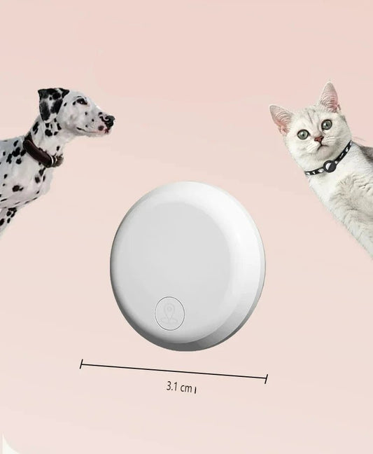Collier GPS pour chat - ChatMour