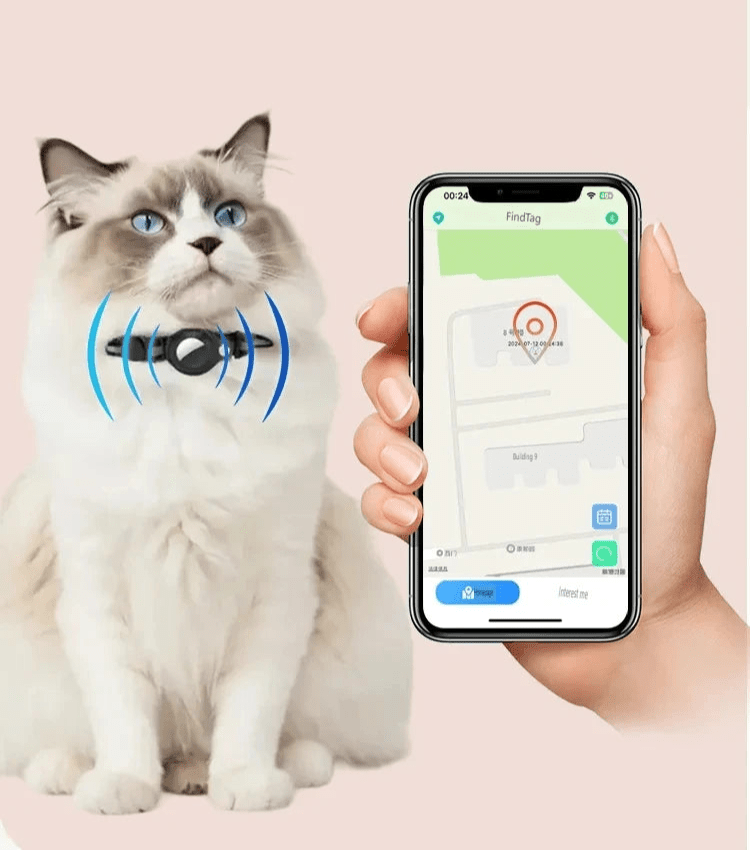 Collier GPS pour chat - ChatMour