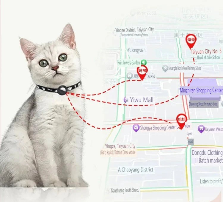 Collier GPS pour chat - ChatMour