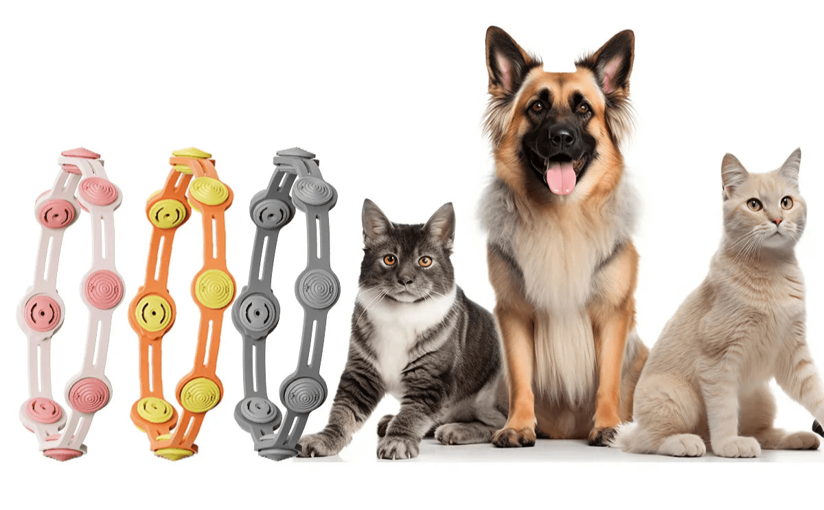 Collier anti moustique chat - ChatMour