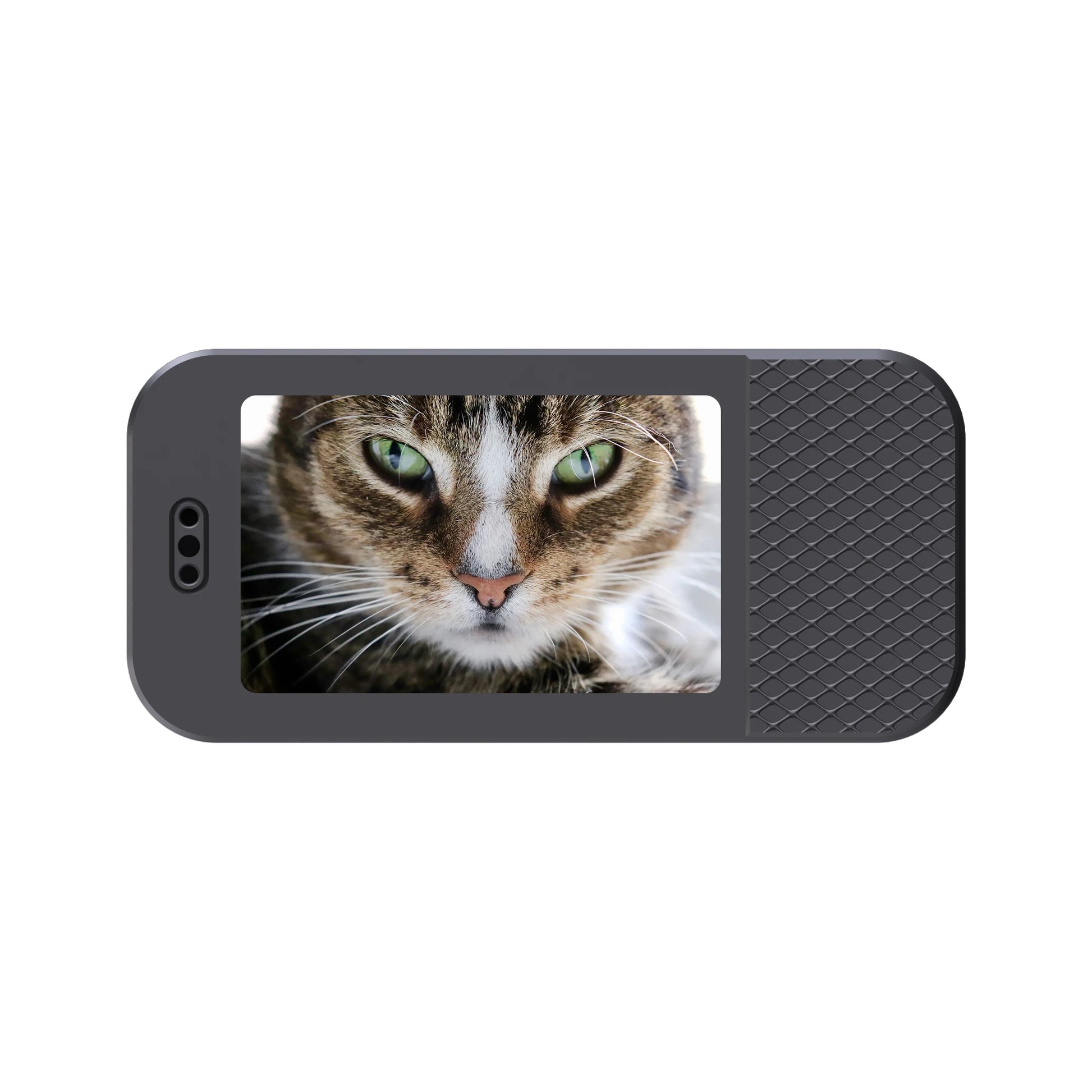 Collier camera connectée portable pour chats - ChatMour