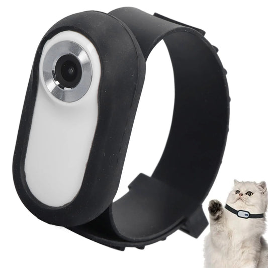 Collier camera pour chat - ChatMour