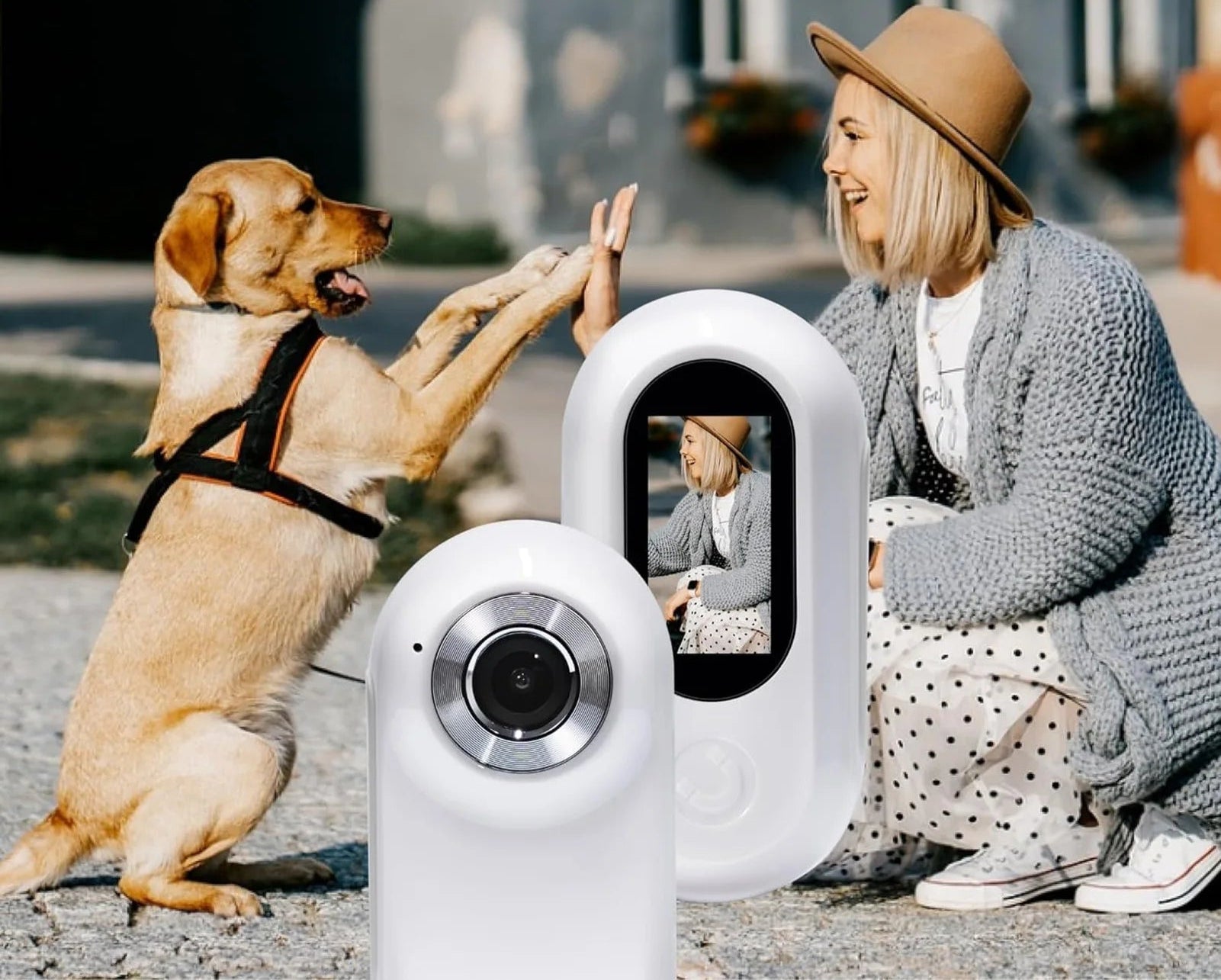 Collier camera pour chat - ChatMour